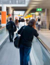 Airline Airport Security Flight Staff